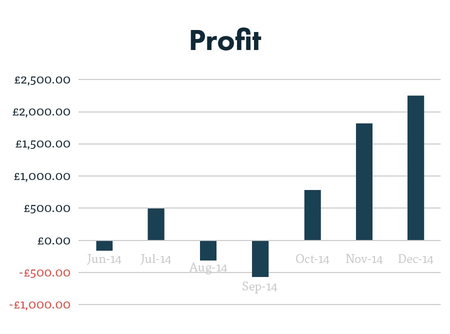 PPC profit graph after 7 months