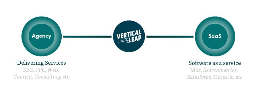 Agency vs Vertical Leap vs Saas
