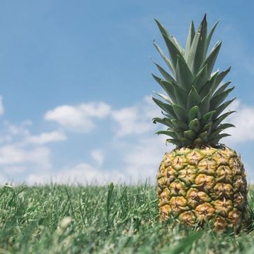 Pineapple in a field. Because, why not?