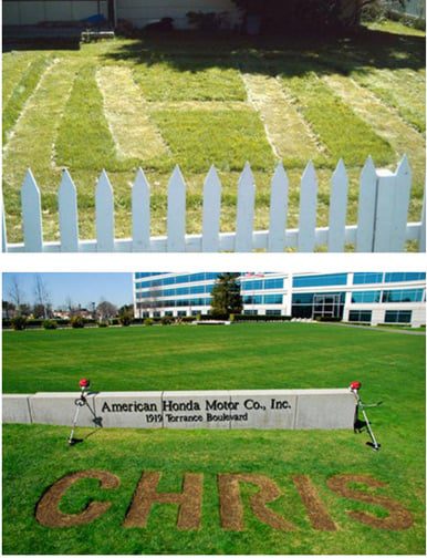 Honda carved a Facebook user's name into its lawn