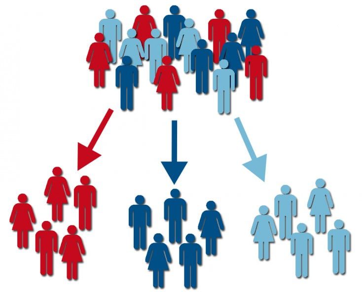 Customer segment
