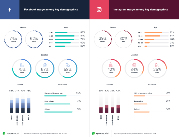 Facebook usage by demographic compared to Instagram