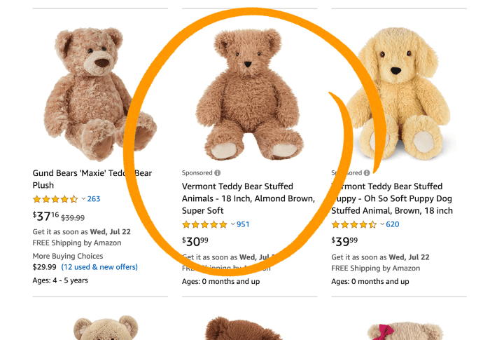 Amazon - example Promoted Products 