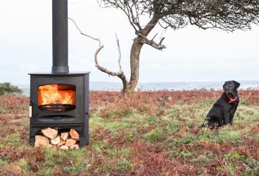 View of log burner and dog in a field