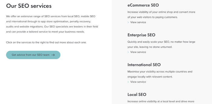 The sub services menu on the Vertical Leap SEO service page